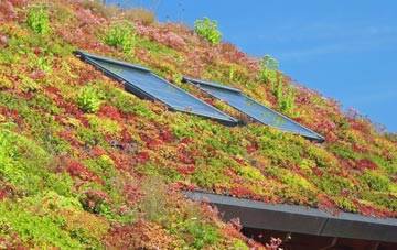 Auchmillan living roof systems