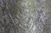 Auchmillan fibreglass roof work